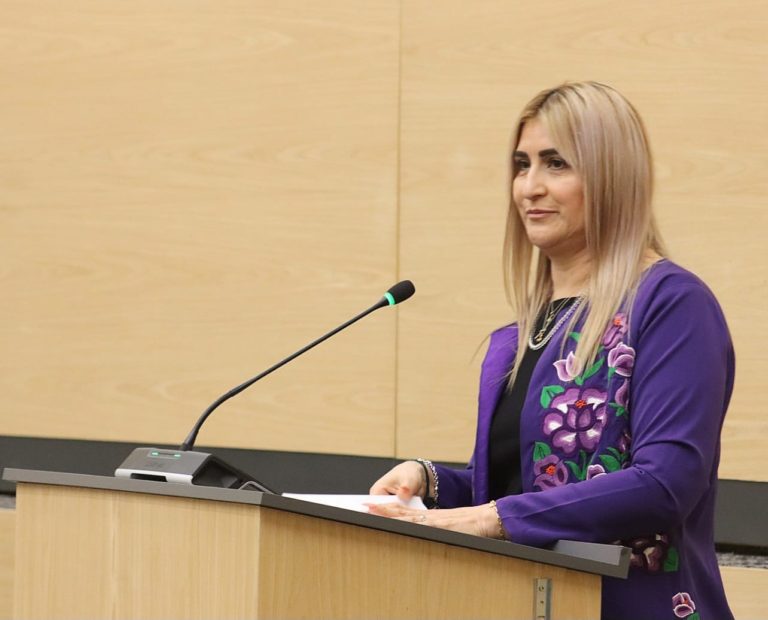 Ante el Pleno del Congreso, comparece la titular de la Fiscalía General del Estado