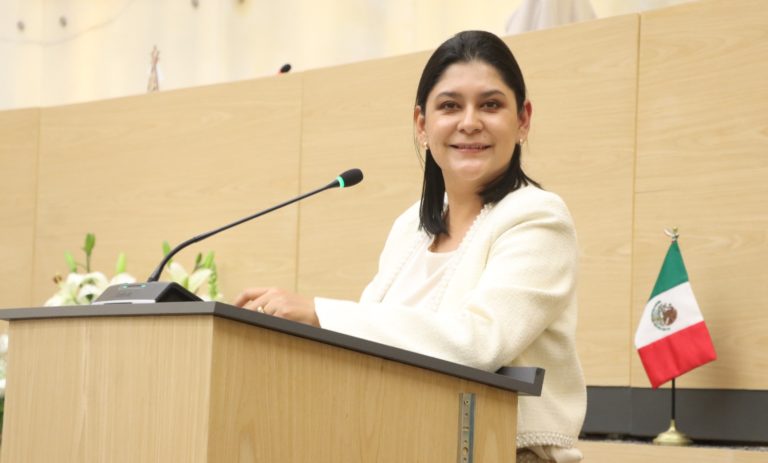 Reconocer la rapiña como delito, propone la diputada Ana Lilia Tepole