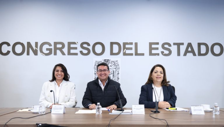 Crear Agencias de Colocación Especializadas para personas con discapacidad, propone la diputada Soledad Amieva