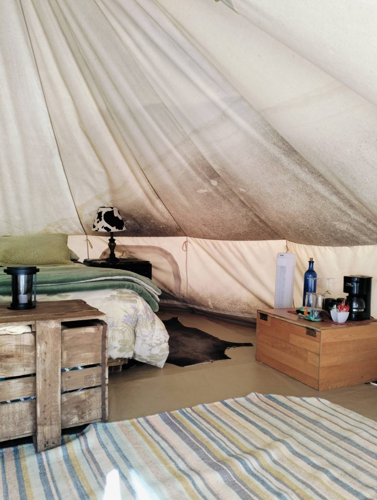 644198280_1496428182490379_5223196272366321290_n