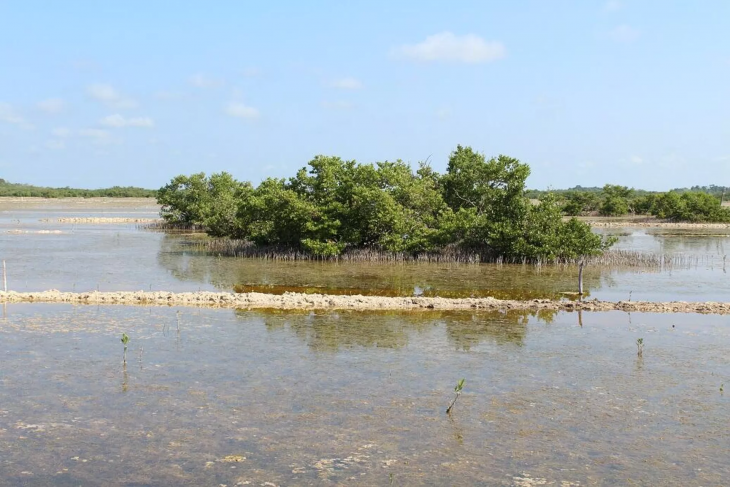 ¿Qué esconde Isla Jaina? Descubre el enigma de la isla de los muertos