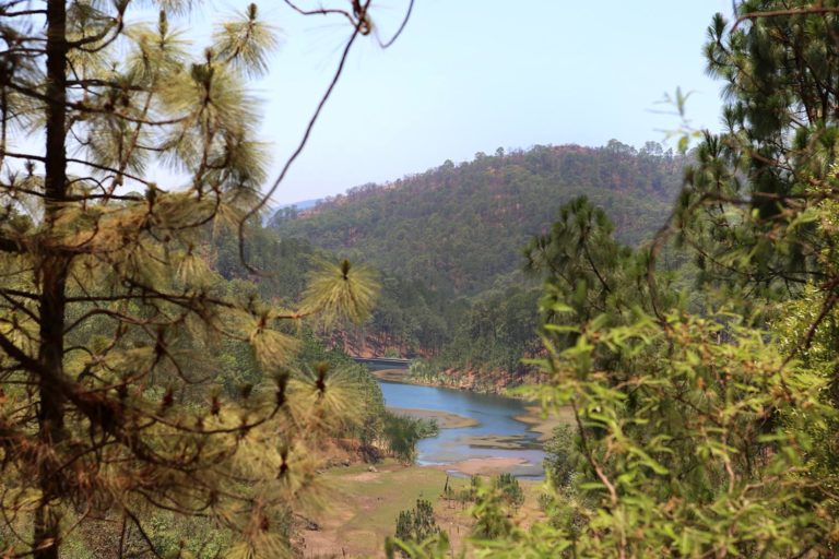 Entre faros, cascadas y bosques: Senderismo para descubrir la naturaleza de Sinaloa