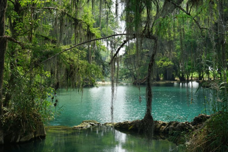 Vuelos a San Luis Potosí desde Puebla: costos, atractivos y más